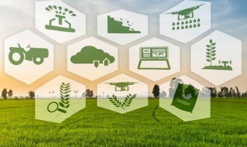 Bộ Tài chính đề xuất nâng hỗ trợ bảo hiểm nông nghiệp lên tối đa 95%