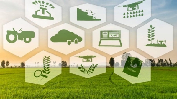 Bộ Tài chính đề xuất nâng hỗ trợ bảo hiểm nông nghiệp lên tối đa 95%