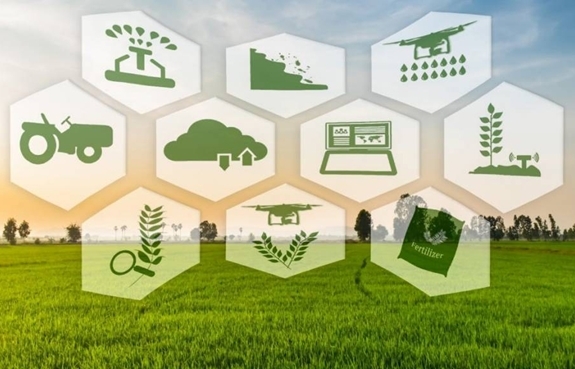 Đề xuất nâng hỗ trợ bảo hiểm nông nghiệp lên tối đa 95%