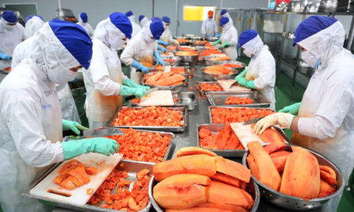 Xuất khẩu tăng gần 73%, ngành rau quả bứt tốc ngay từ đầu năm