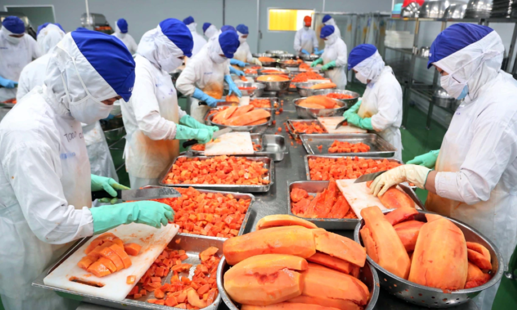 Xuất khẩu tăng gần 73%, ngành rau quả bứt tốc ngay từ đầu năm