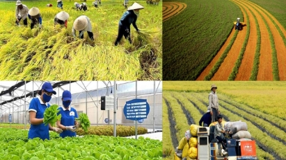 Greater efficiency from agriculture and environment sector