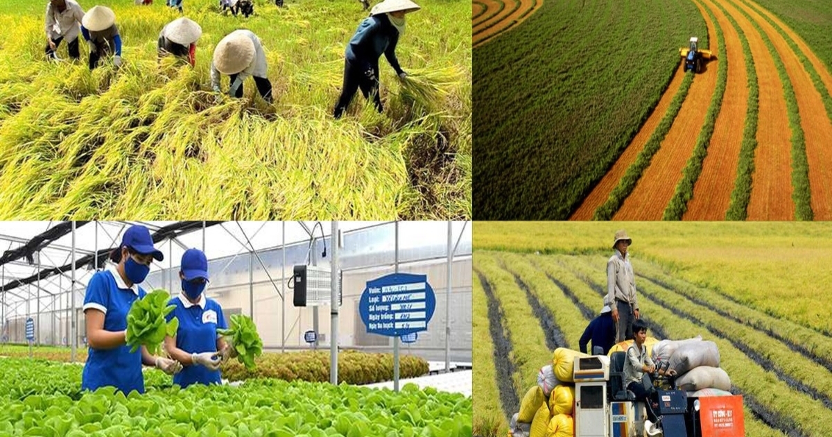 Greater efficiency from agriculture and environment sector