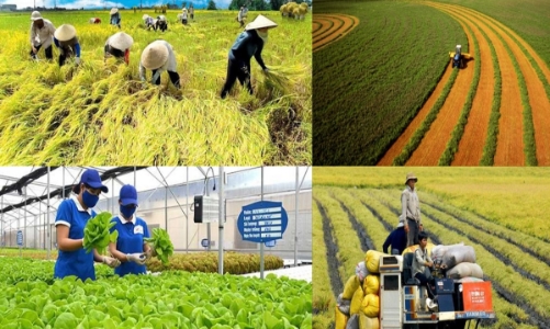 Greater efficiency from agriculture and environment sector