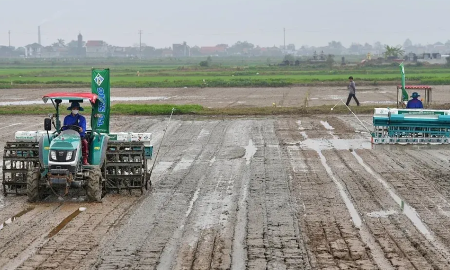 Máy gieo sạ hiện đại vận hành trên cánh đồng