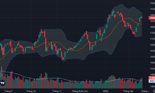 Thanh khoản tiếp tục tăng mạnh, dòng tiền bắt đáy duy trì phân hóa tích cực