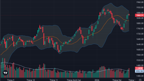 Thanh khoản tiếp tục tăng mạnh, dòng tiền bắt đáy duy trì phân hóa tích cực