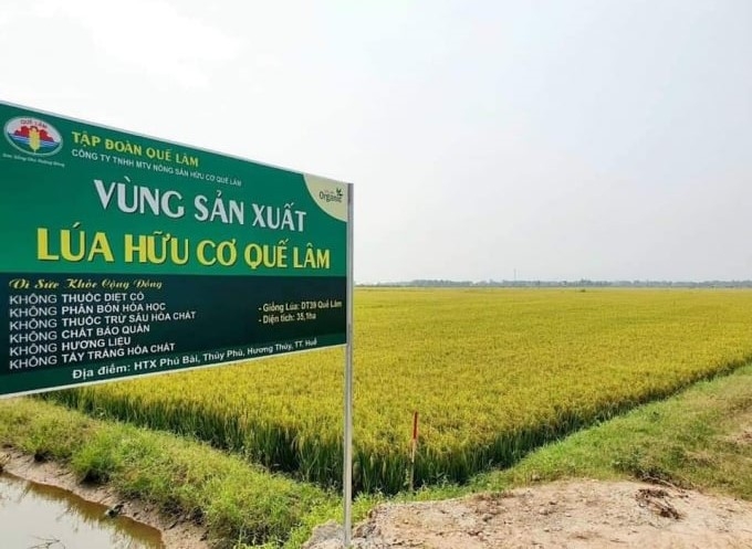 Huế ưu tiên phát triển sản xuất nông nghiệp theo hướng ứng dụng công nghệ cao, nông nghiệp hữu cơ.