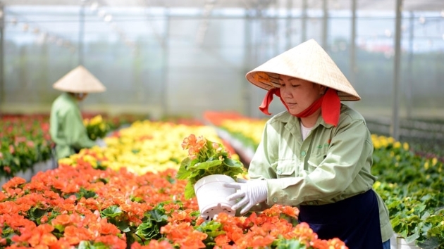 Some 1.5 million rural workers to receive vocational training annually