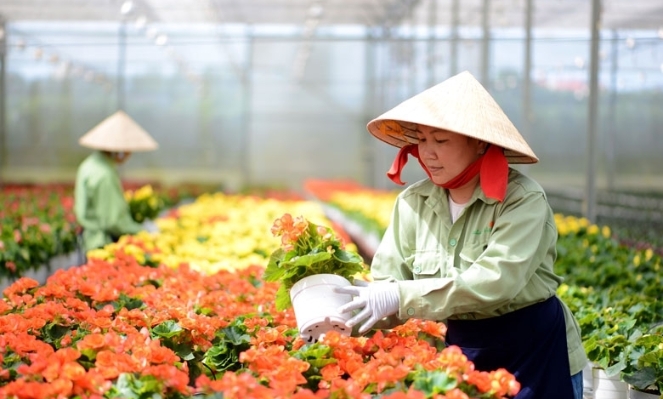 Some 1.5 million rural workers to receive vocational training annually