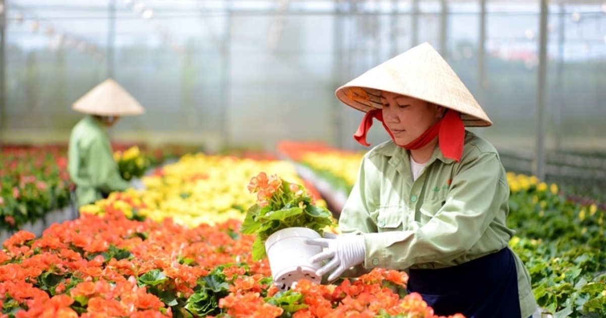 Some 1.5 million rural workers to receive vocational training annually