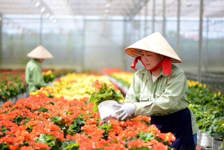 Some 1.5 million rural workers to receive vocational training annually