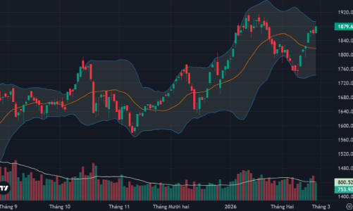 Dòng tiền mua chủ động hơn, cổ phiếu phục hồi