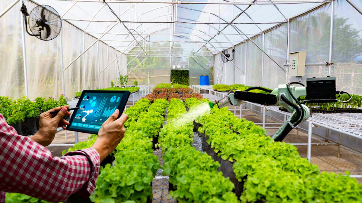 Phát triển nông nghiệp dựa trên công nghệ cao là xu hướng tất yếu.