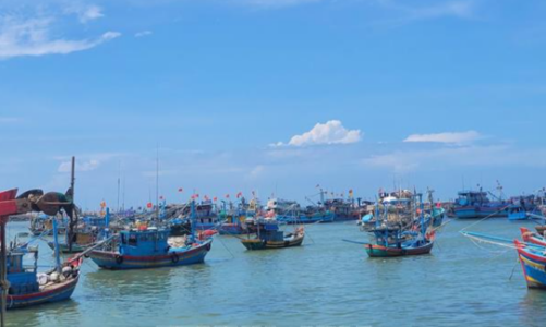 TP.Hồ Chí Minh tăng tốc chống khai thác IUU, chuẩn bị làm việc với EC