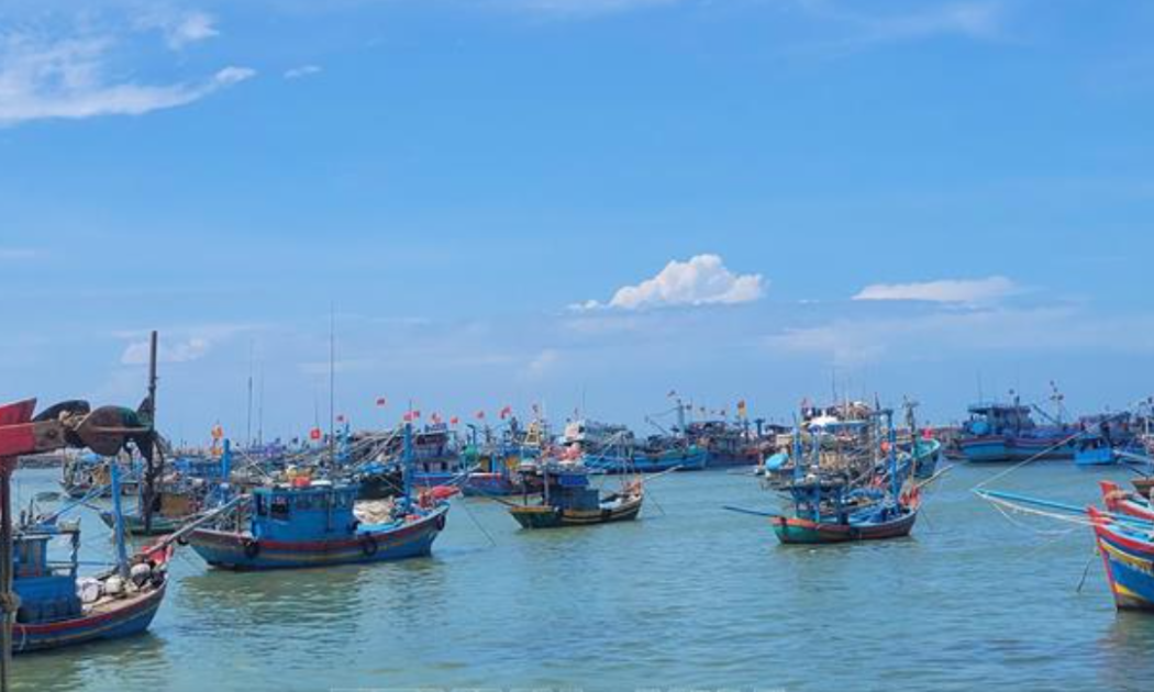 TP.Hồ Chí Minh có 4.455 tàu cá đã đăng ký, 100% được cập nhật trên VNFishbase.