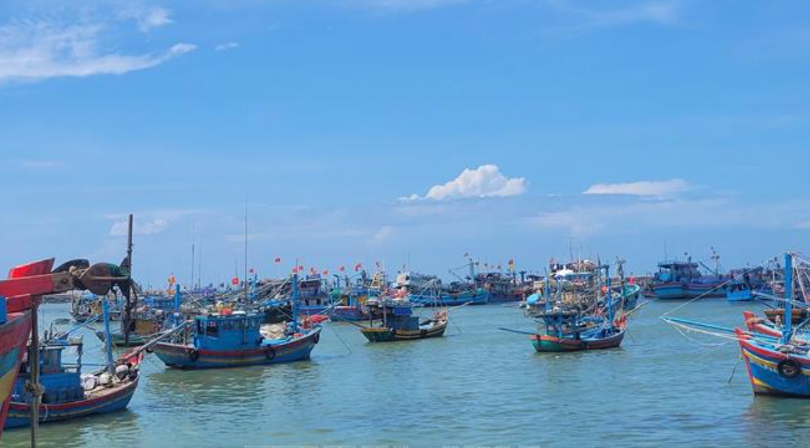 TP.Hồ Chí Minh có 4.455 tàu cá đã đăng ký, 100% được cập nhật trên VNFishbase.