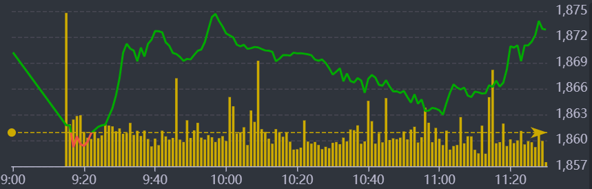 Diễn biến chỉ số VN-Index sáng nay.