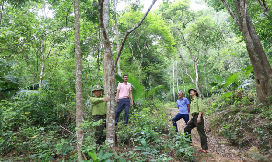Lực lượng bảo vệ rừng tuần tra tại khu vực rừng tự nhiên được hưởng chi trả tài chính carbon. Ảnh: Văn Minh