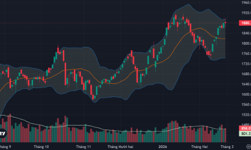 VIC giữ sắc xanh cho VN-Index, cổ phiếu tầm trung bùng nổ, dầu khí là tâm điểm