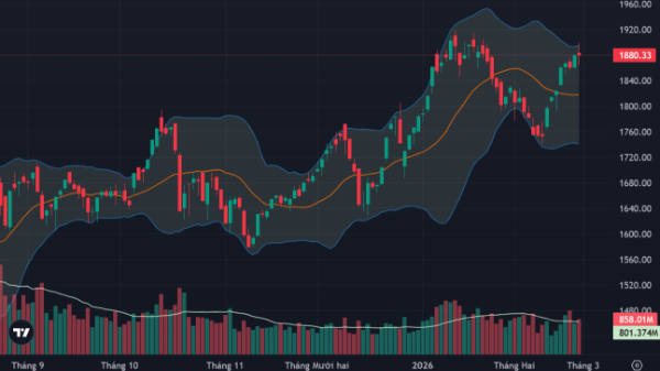 VIC giữ sắc xanh cho VN-Index, cổ phiếu tầm trung bùng nổ, dầu khí là tâm điểm