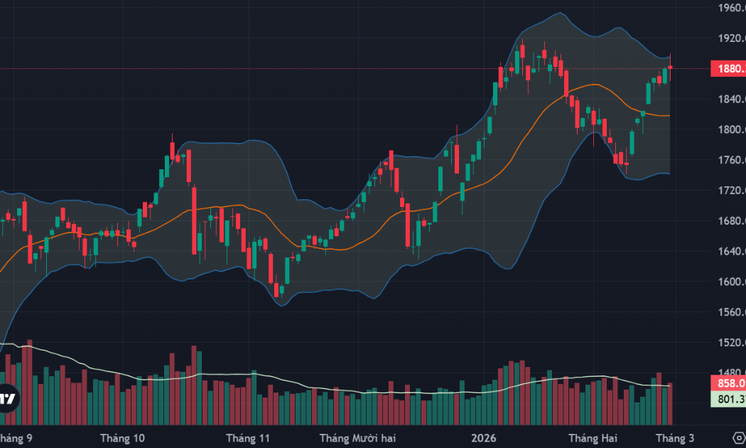 VIC giữ sắc xanh cho VN-Index, cổ phiếu tầm trung bùng nổ, dầu khí là tâm điểm