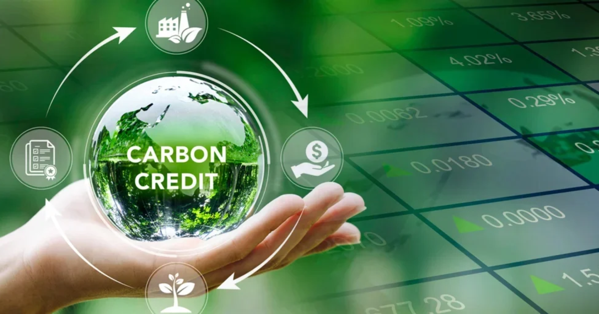 Serial codes for emission quotas and carbon credits to be issued