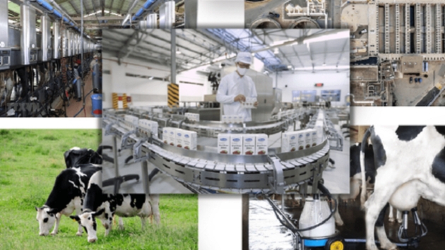 Vietnam's Dairy Industry Development Strategy approved