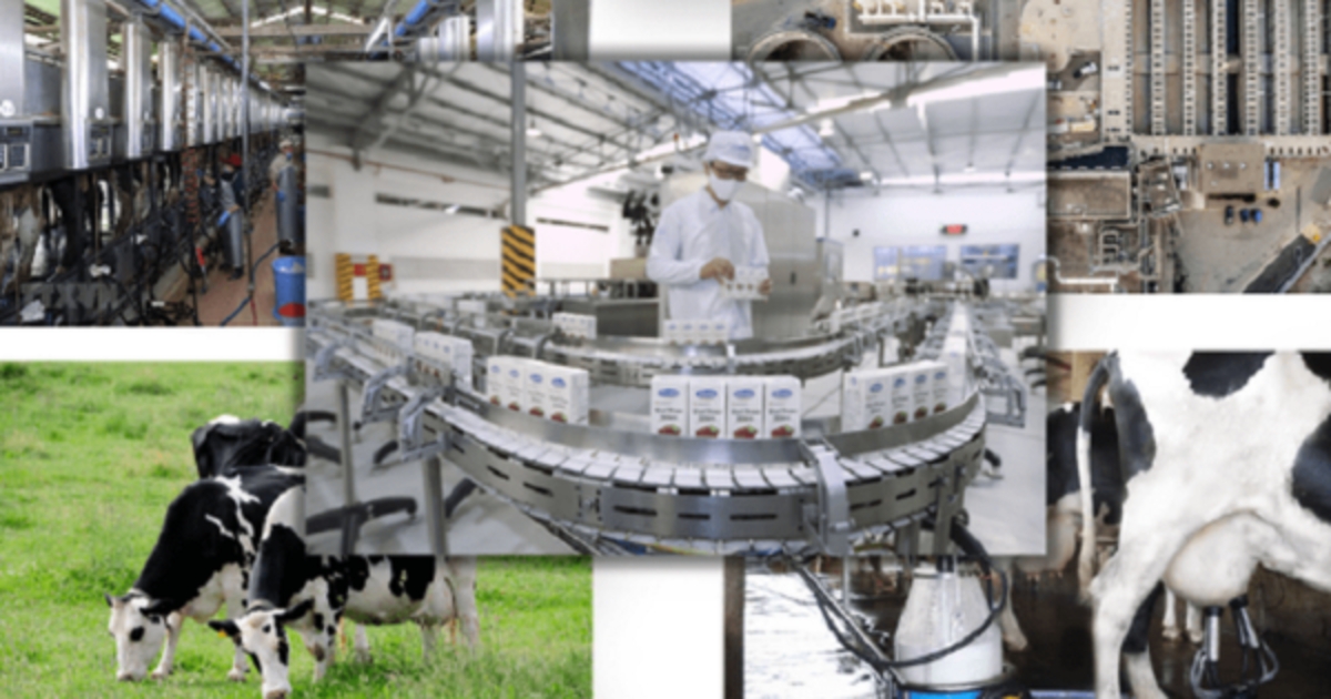 Vietnam's Dairy Industry Development Strategy approved