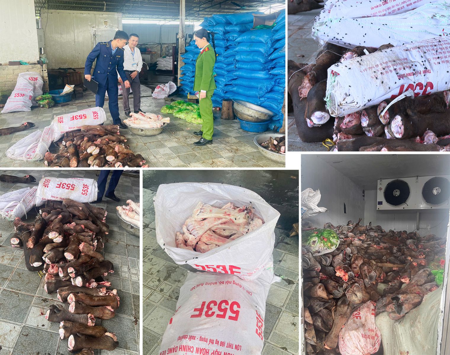 Lực lượng chức năng kiểm tra số thực phẩm không rõ nguồn gốc. Ảnh: Công an Thanh Hoá.