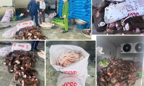 Đột kích 2 kho lạnh, phát hiện gần 6 tấn thực phẩm trôi nổi 