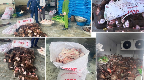 Đột kích 2 kho lạnh, phát hiện gần 6 tấn thực phẩm trôi nổi 