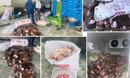 Lực lượng chức năng kiểm tra số thực phẩm không rõ nguồn gốc. Ảnh: Công an Thanh Hoá.