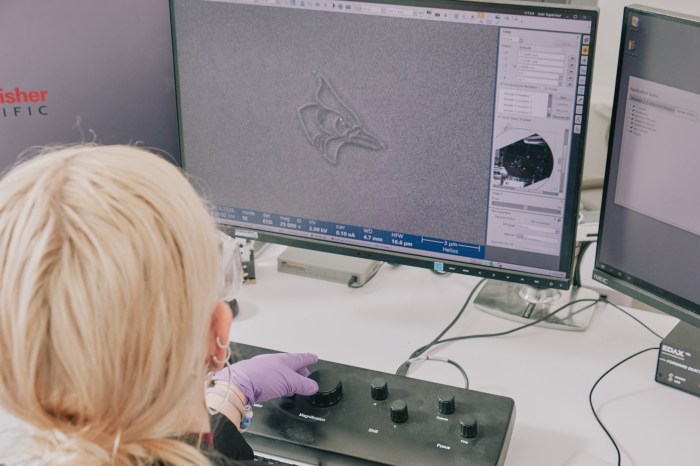 Kayley Waltz khắc hình chim giẻ cùi xanh lên silicon bằng chất cản quang do nhóm phát triển - Ảnh: WSJ. 