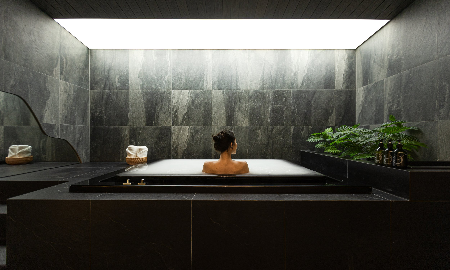 Ngành Wellness đã làm rất tốt trong việc phục vụ những cá nhân có giá trị tài sản ròng cao trên toàn thế giới.
