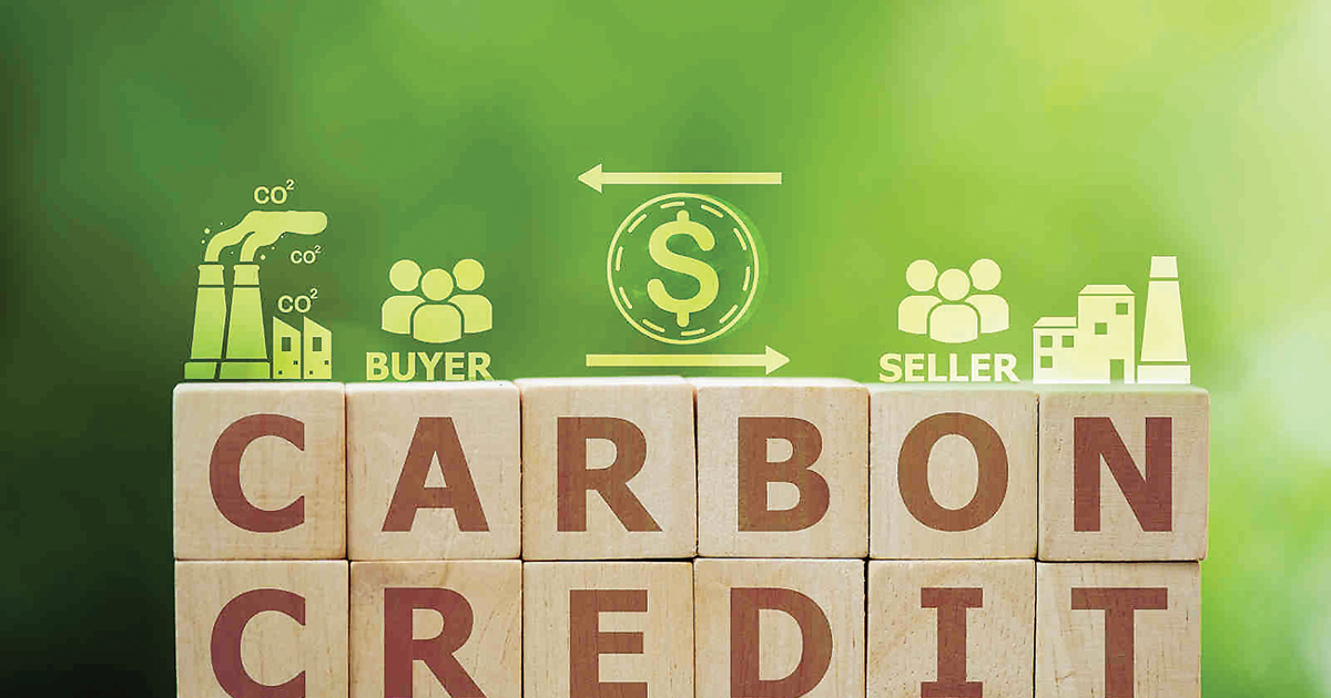 Hoàn thiện nền móng pháp lý cho việc hình thành và vận hành thị trường carbon trong nước.