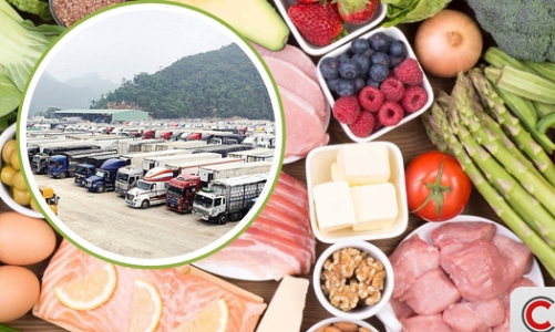 Chuẩn bị nguồn lực triển khai Nghị định 46 về an toàn thực phẩm từ 16/4