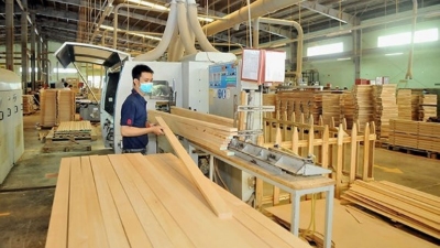 Strategic directions for wood and wooden product exports