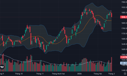 Vốn ngoại tranh thủ bắt đáy mạnh, cổ phiếu dầu khí, hóa chất, cao su tăng rực rỡ