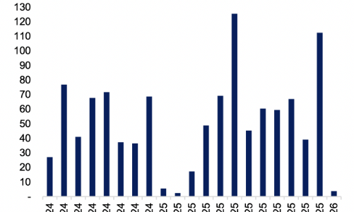 Phát hành trái phiếu doanh nghiệp giảm mạnh trong tháng 1 đầu năm, nhóm Xây dựng bất ngờ tăng  