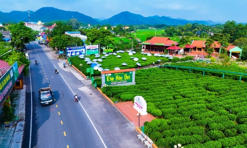 Phát triển trồng trọt phát thải thấp, sản xuất theo chuỗi giá trị tuần hoàn