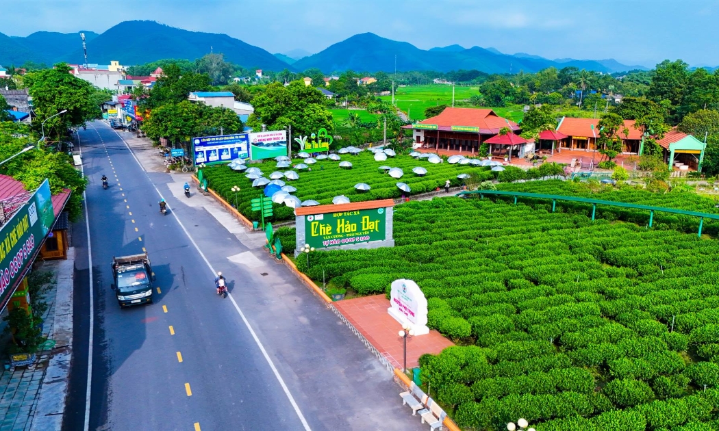 Vùng chè tại xã Tân Cương (Thái Nguyên) được sản xuất theo hướng an toàn, bền vững, góp phần thực hiện mục tiêu giảm phát thải trong lĩnh vực trồng trọt. Ảnh: Ngọc Tú