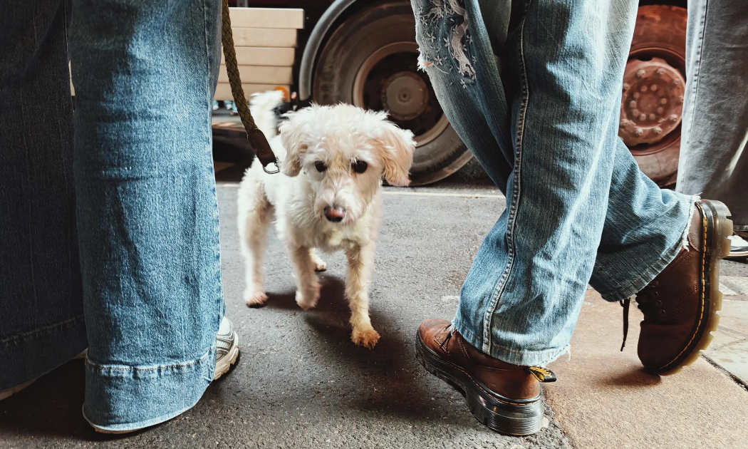 Điện thoại Trung Quốc chạm tới đẳng cấp máy ảnh