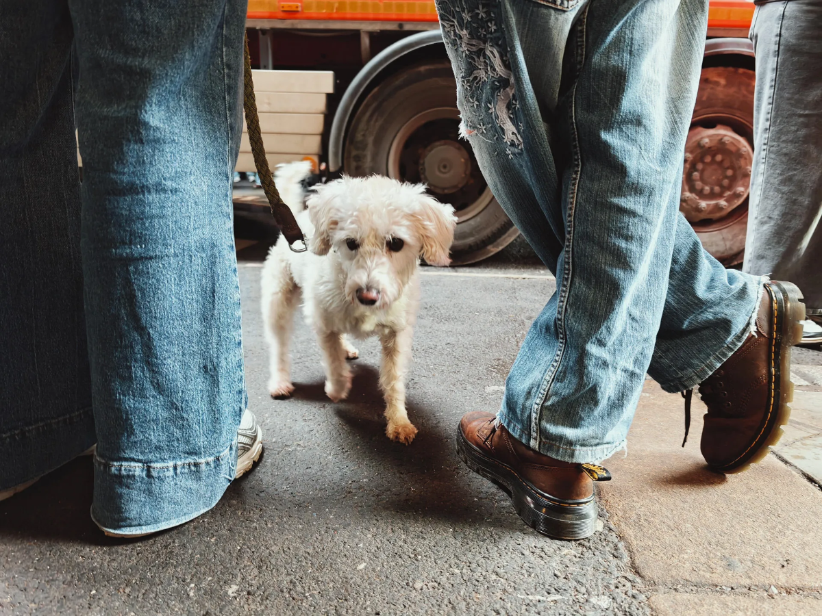 Ảnh chụp bởi Xiaomi Leica Leitzphone - Nguồn: CNET. 