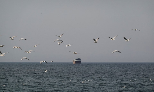 Ấn Độ đối mặt sức ép từ xung đột Trung Đông