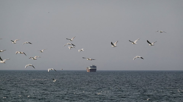 Ấn Độ đối mặt sức ép từ xung đột Trung Đông