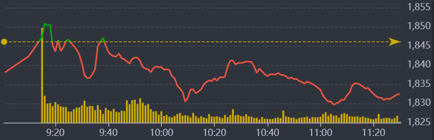Diễn biến VN-Index sáng nay.