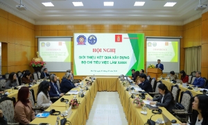 Bộ chỉ tiêu này do Viện Chiến lược và Chính sách kinh tế - tài chính chủ trì và phối hợp với Cục Thống kê xây dựng, với sự hỗ trợ tài chính của Chính phủ Đan Mạch