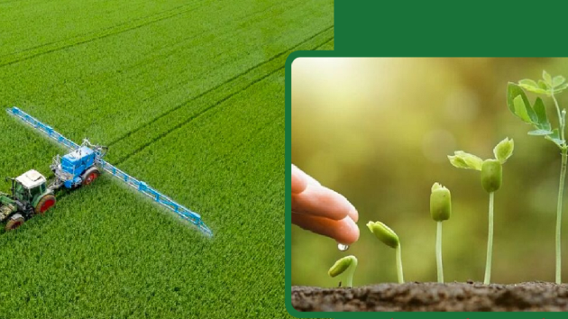 Green transition in the fertilizer industry