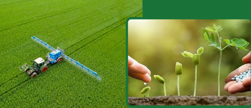 Green transition in the fertilizer industry